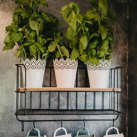 Дом отдыха Sarnia Laka 1 Z Prywatnym Jacuzzi