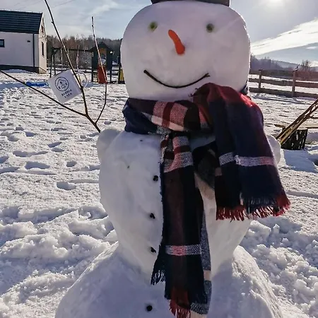 Sarnia łąka Loft Dom wakacyjny *