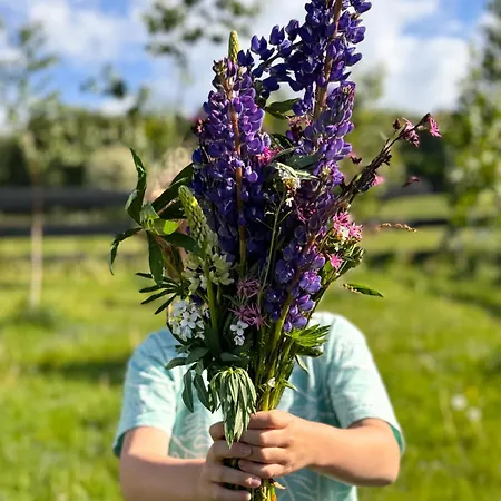 Sarnia łąka Loft Stronie Śląskie