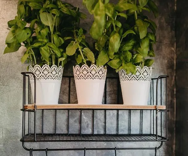 Dom wakacyjny Sarnia łąka Loft