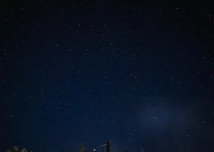 Sarnia łąka Loft *