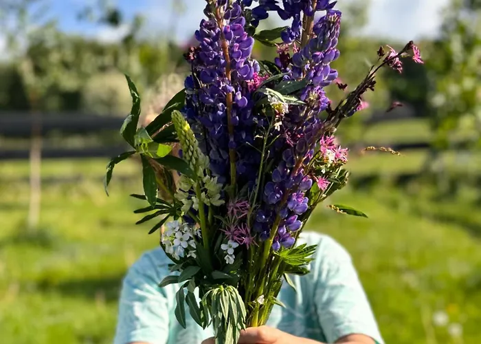 Sarnia łąka Loft Stronie Śląskie